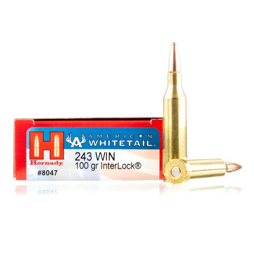 hornady-.243win-95gr-sst-1.png_product